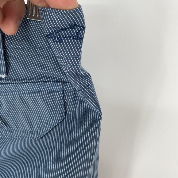 Horny Toad Blue Pin Stripe Flat Front Shorts Women's Size 12 - Picture 4 of 5